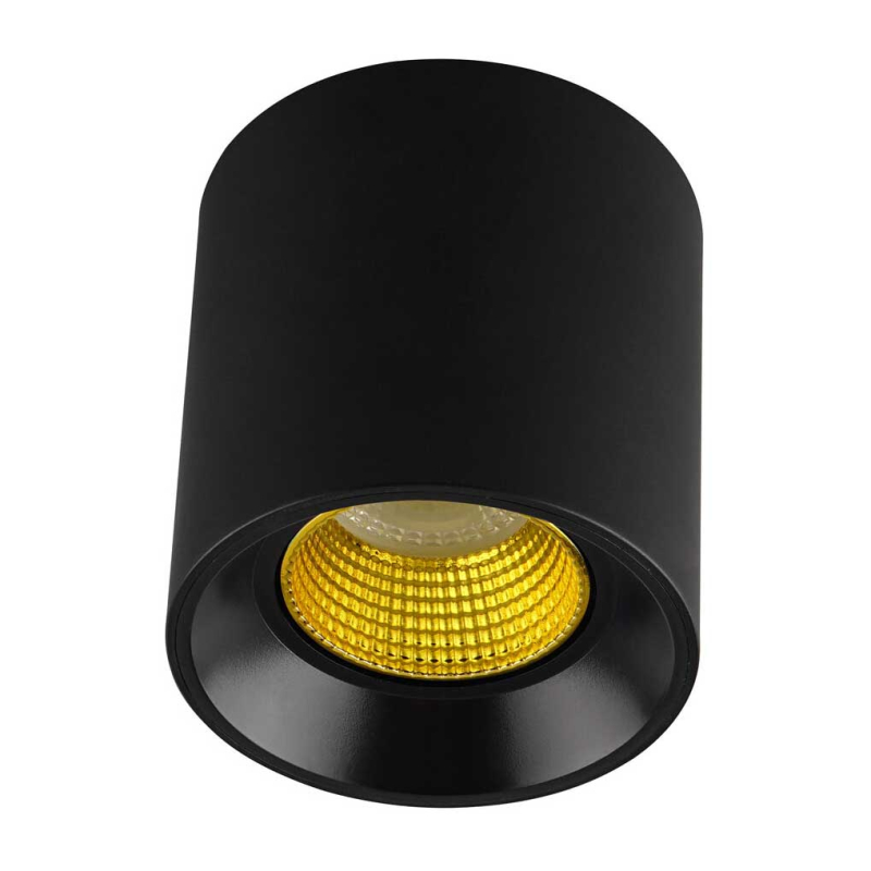 Накладной светильник Denkirs DK3090-BK+YE