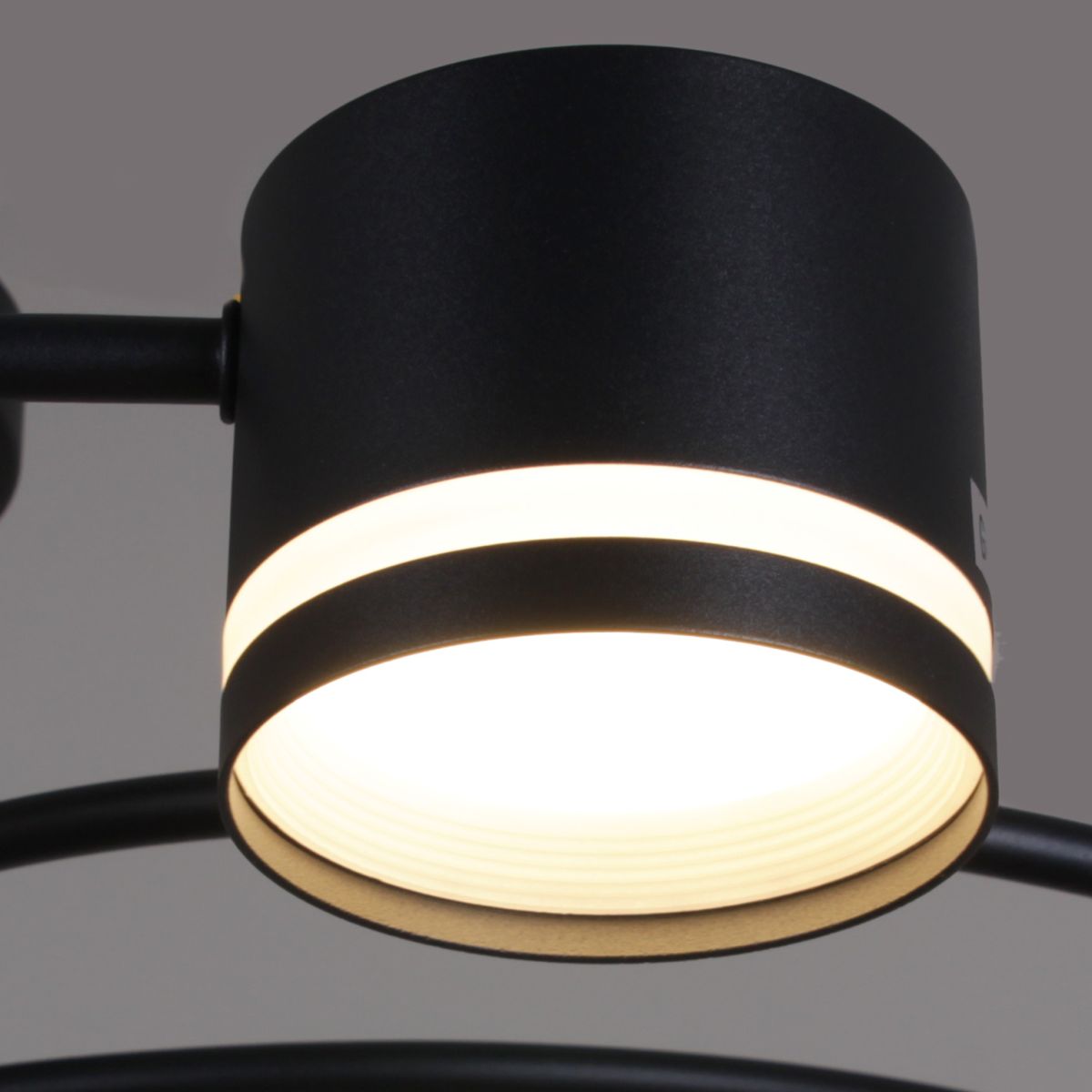 Люстра на штанге Reluce 26730-0.3-06 GX53 BK