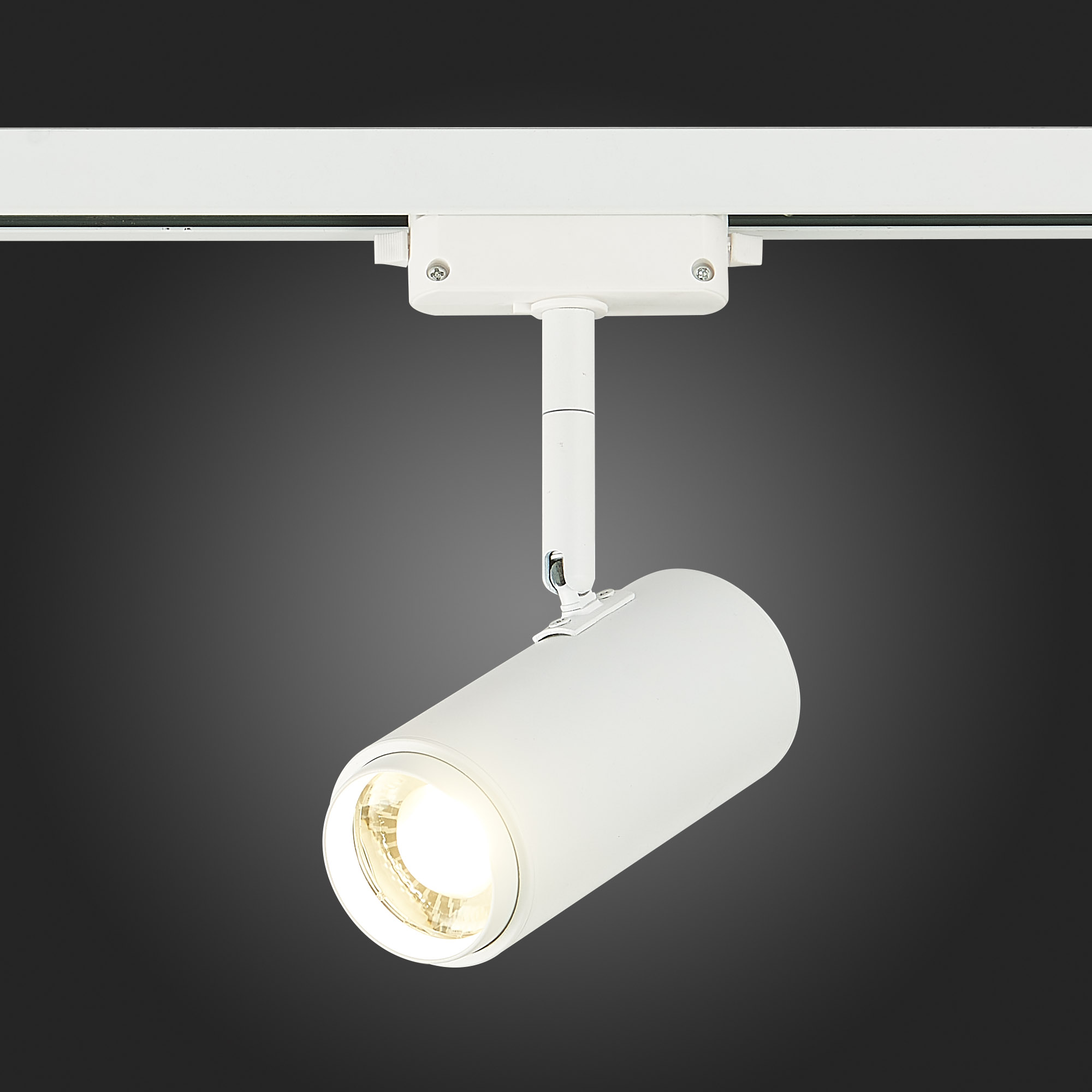 Трековый светильник ST Luce Zoom ST600.546.12 в Москве
