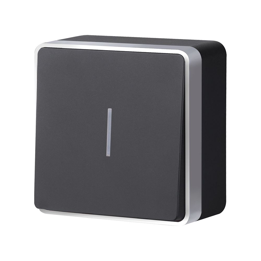 Выключатель одноклавишный с подсветкой Werkel Gallant (черный с серебром) W5010134 4690389163838 a051152