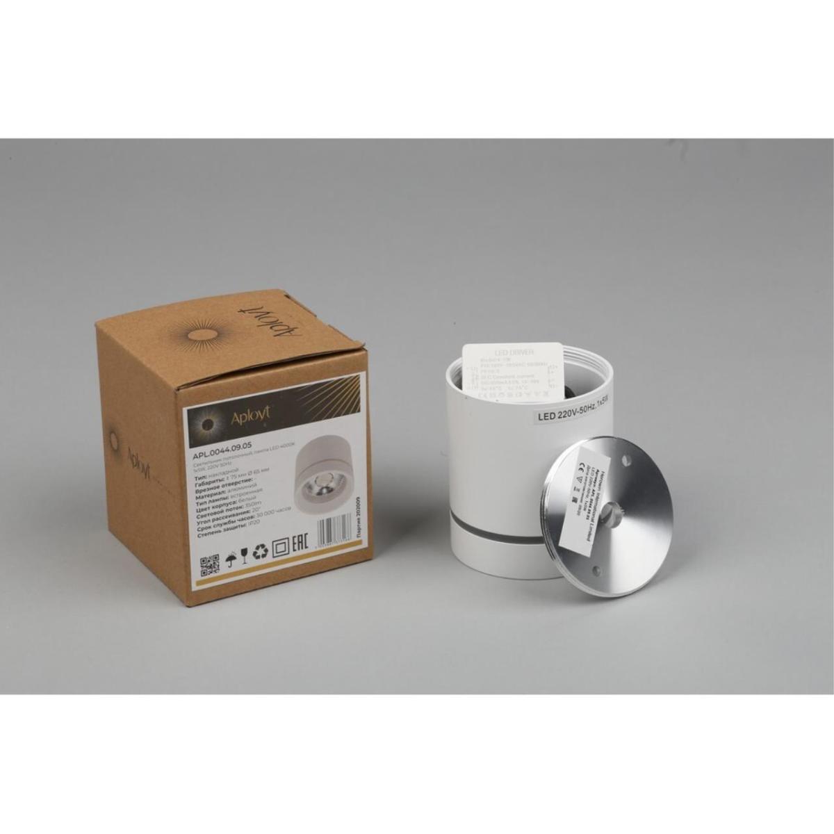 Потолочный светильник Aployt Gita APL.0044.09.05