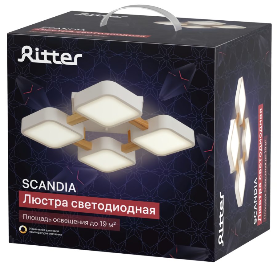 Потолочная люстра Ritter Scandia 52072 6
