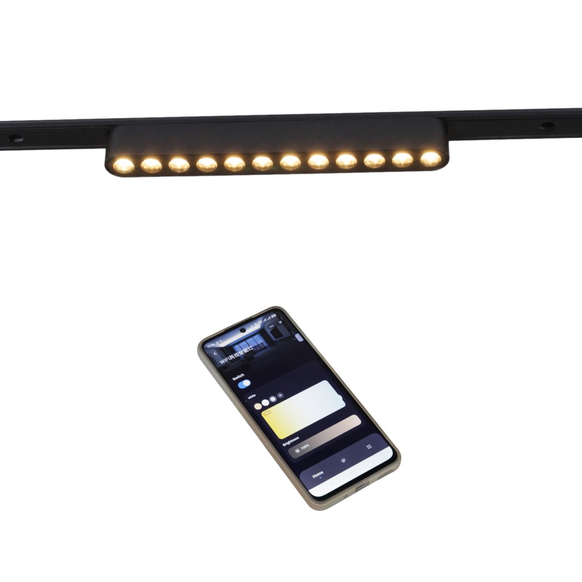 Трековый магнитный светильник (CCT+SMART) Reluce 13002-9.3-001UR magnetic LED12W BK CCT+SMART