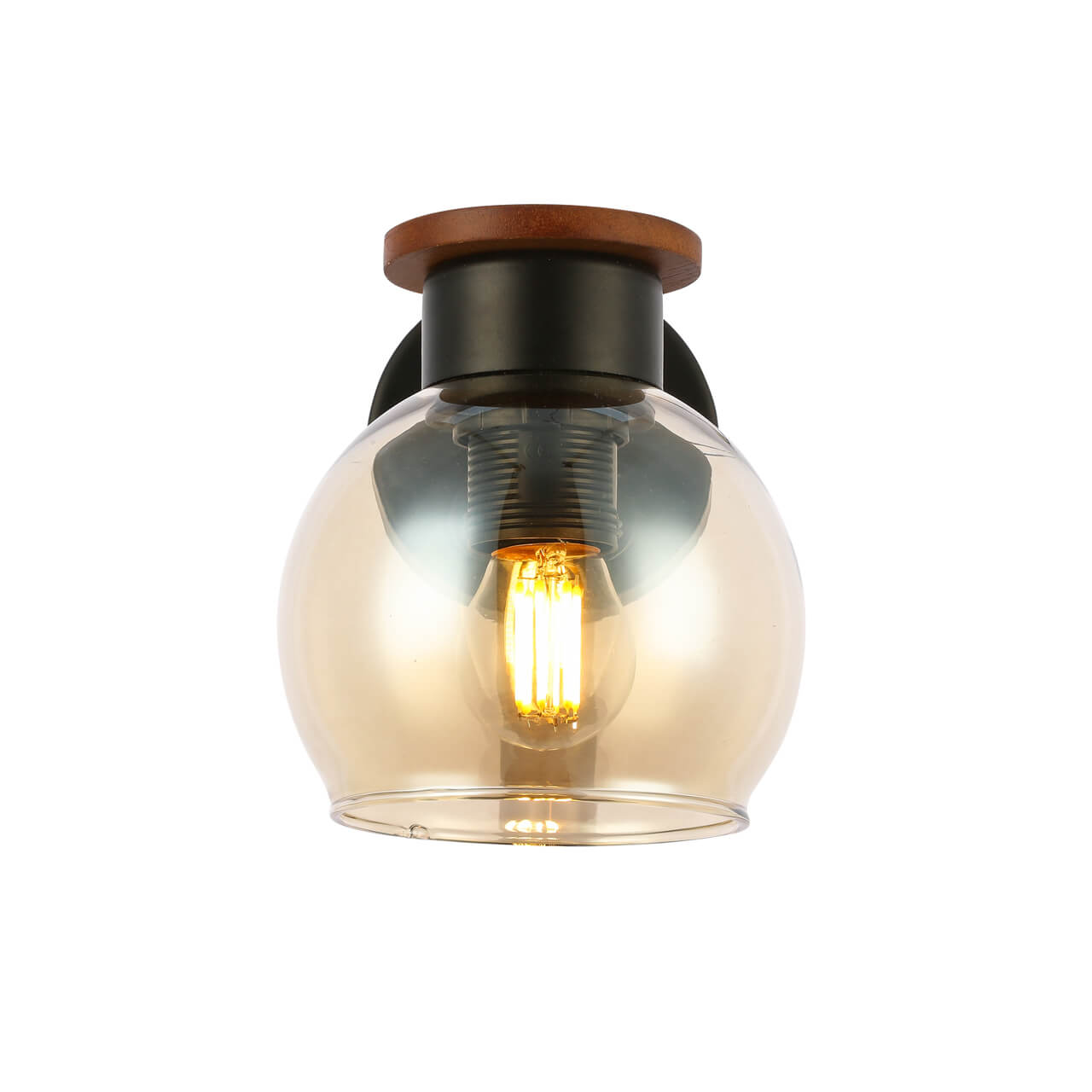 Настенный светильник EVOLUCE RASCO SLE108101-01