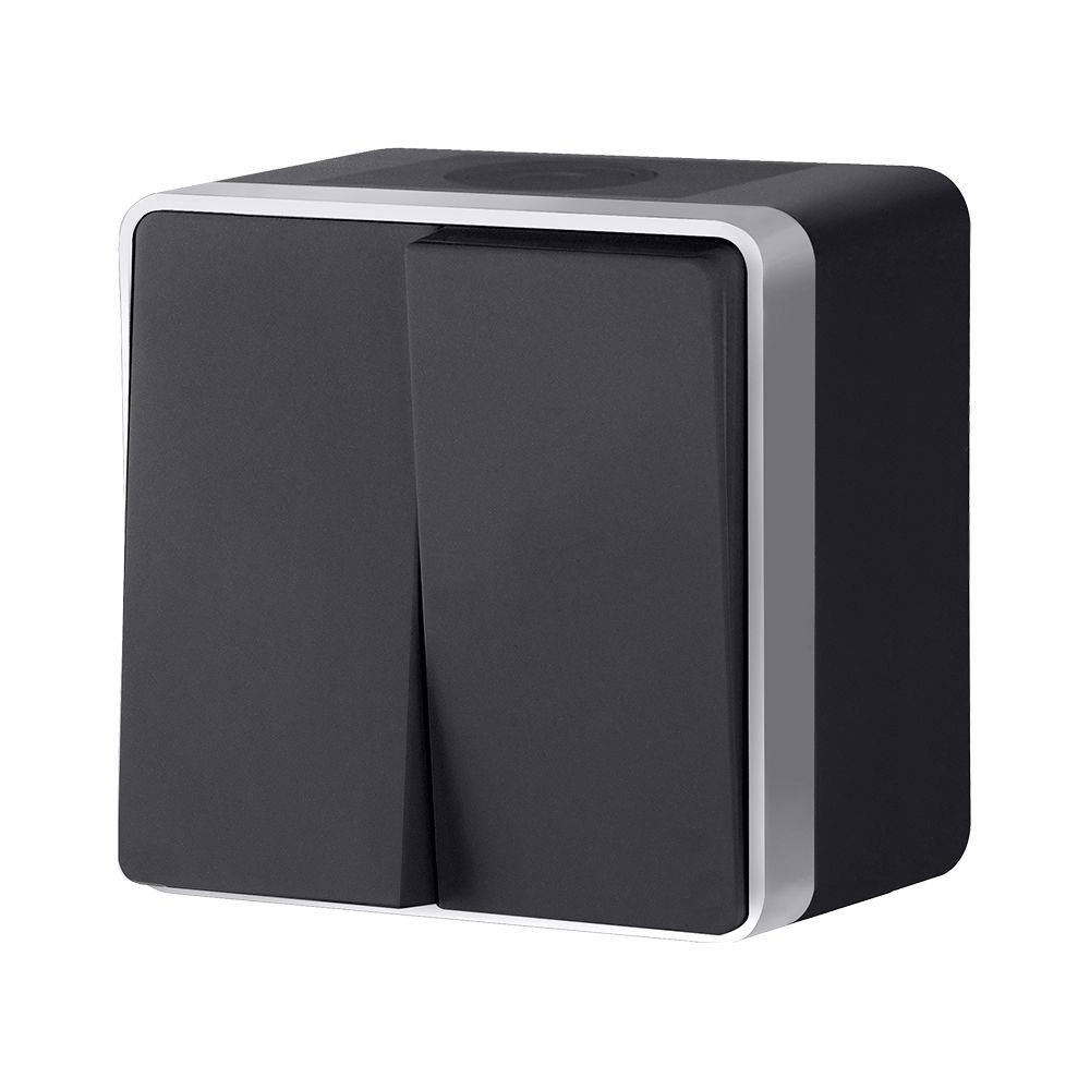 Выключатель двухклавишный влагозащищенный Werkel Gallant (черный с серебром) W5020234 4690389164279 a051156