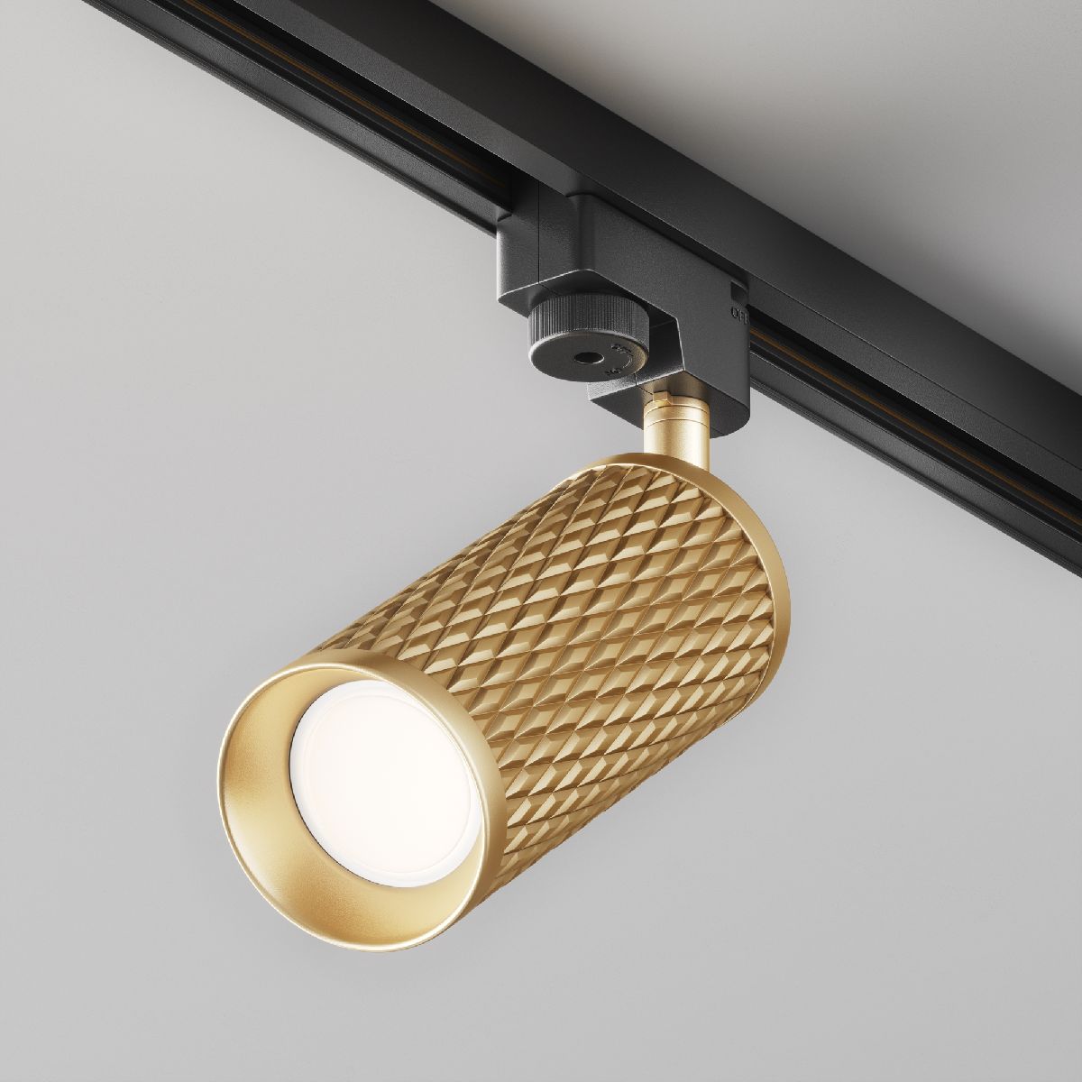 Трековый светильник Maytoni Track lamps TR011-1-GU10-G