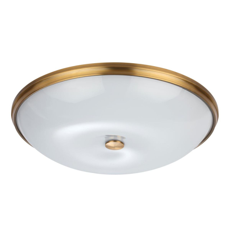Настенно-потолочный светильник Odeon Light Pelow 4956/6