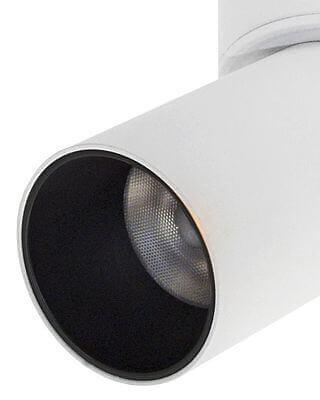 Светодиодный спот Lumien Hall Торин 8001/1CS-BK-GD