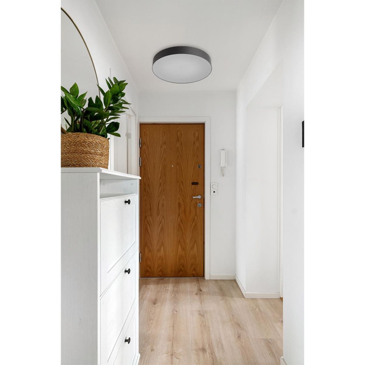 Настенно-потолочный светильник Sonex Basica Optima 7780/ELN