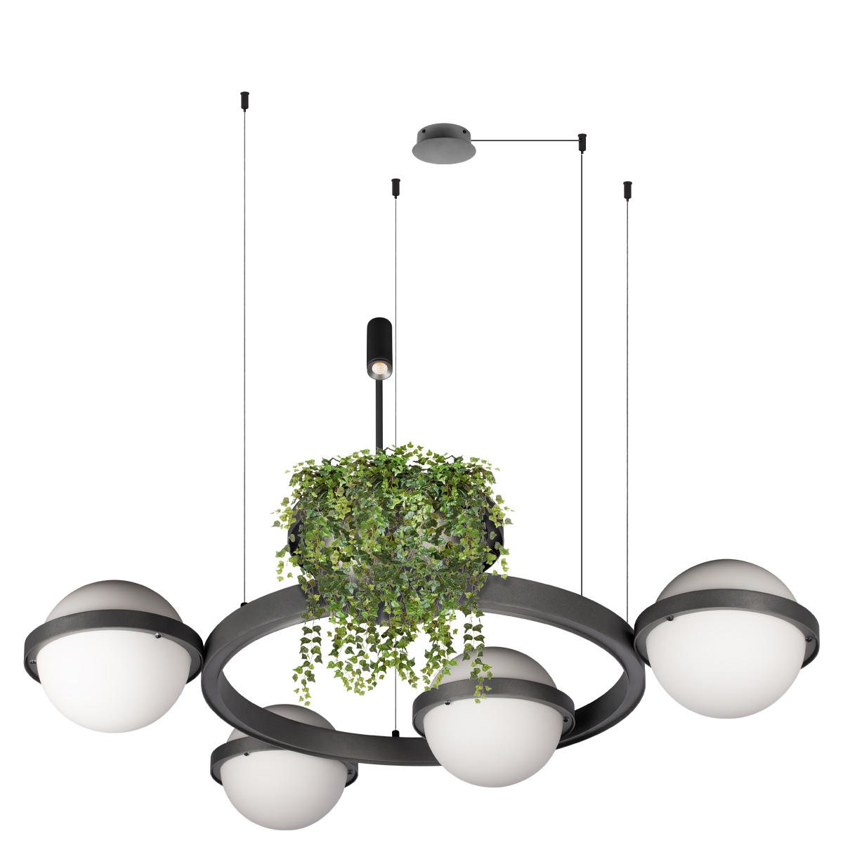 Подвесная люстра шар Loft IT Jardin 10121/4 Dark grey