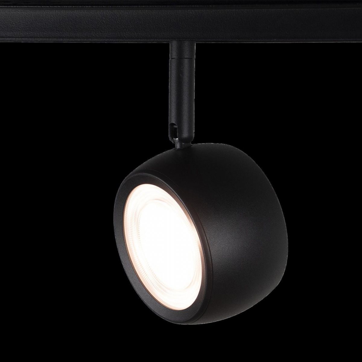 Трековый светильник Loft IT Tech T034-10