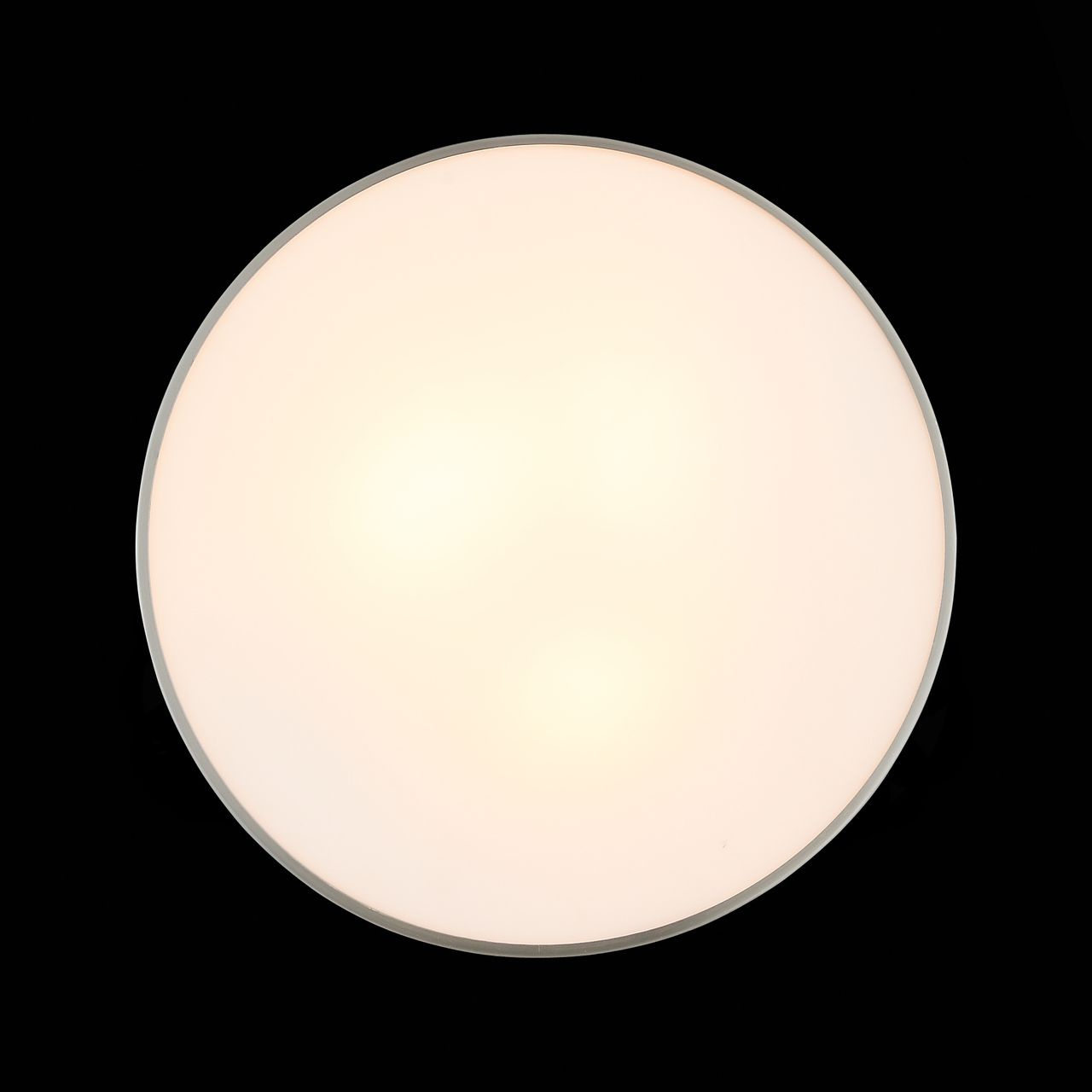 Потолочный светильник ST Luce Bagno SL468.502.02