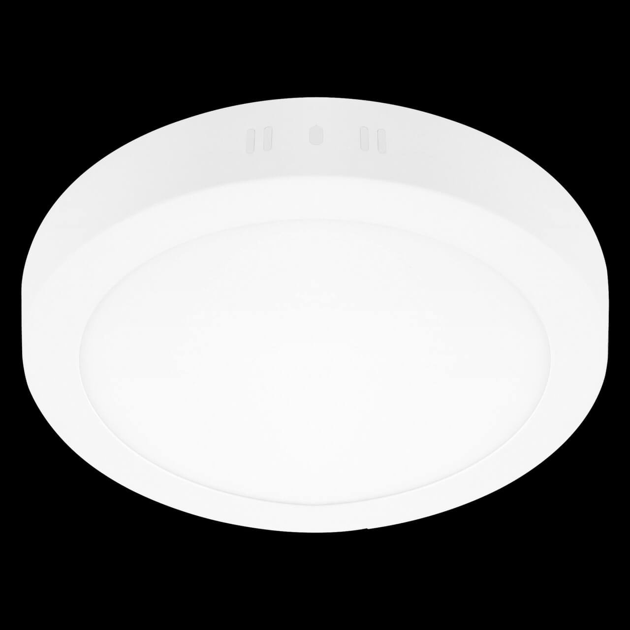 Потолочный светодиодный светильник Lightstar Zocco 323124