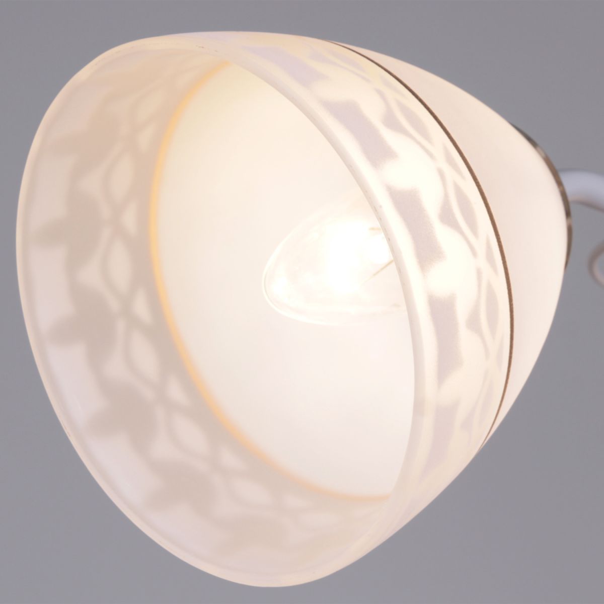 Потолочный светильник Reluce 11460-0.3-03 WH+FG