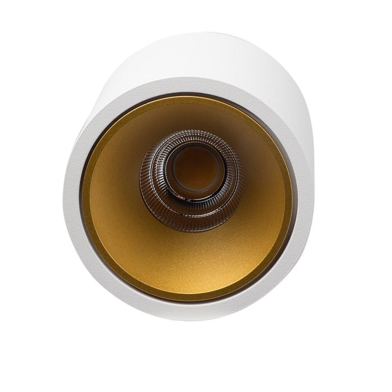 Влагозащищенный светильник LeDron RINBOK White/Gold 00000017856