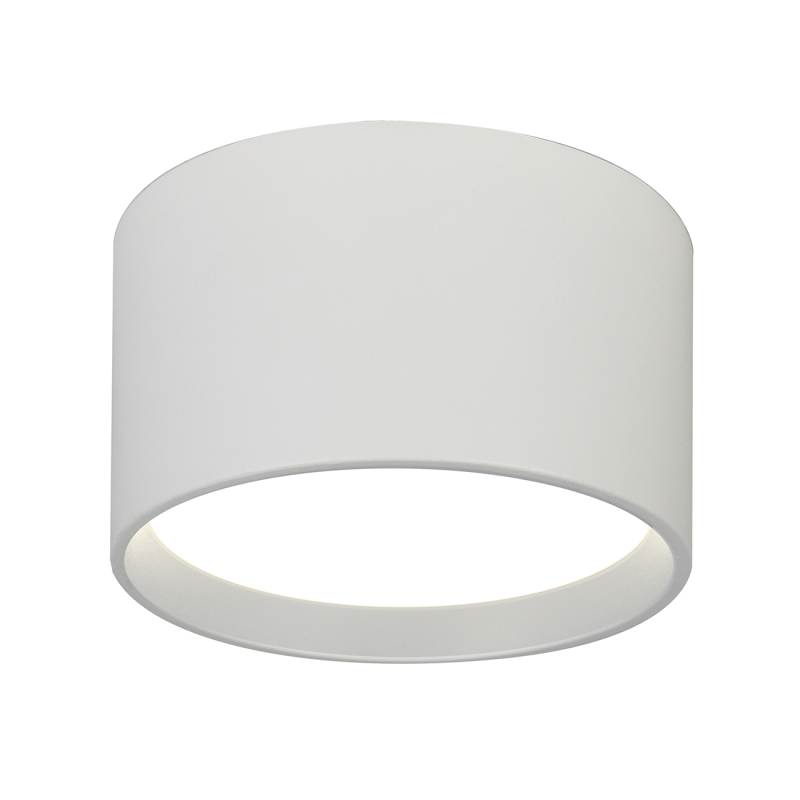 Потолочный светильник Escada 20005SMU/01LED SWH