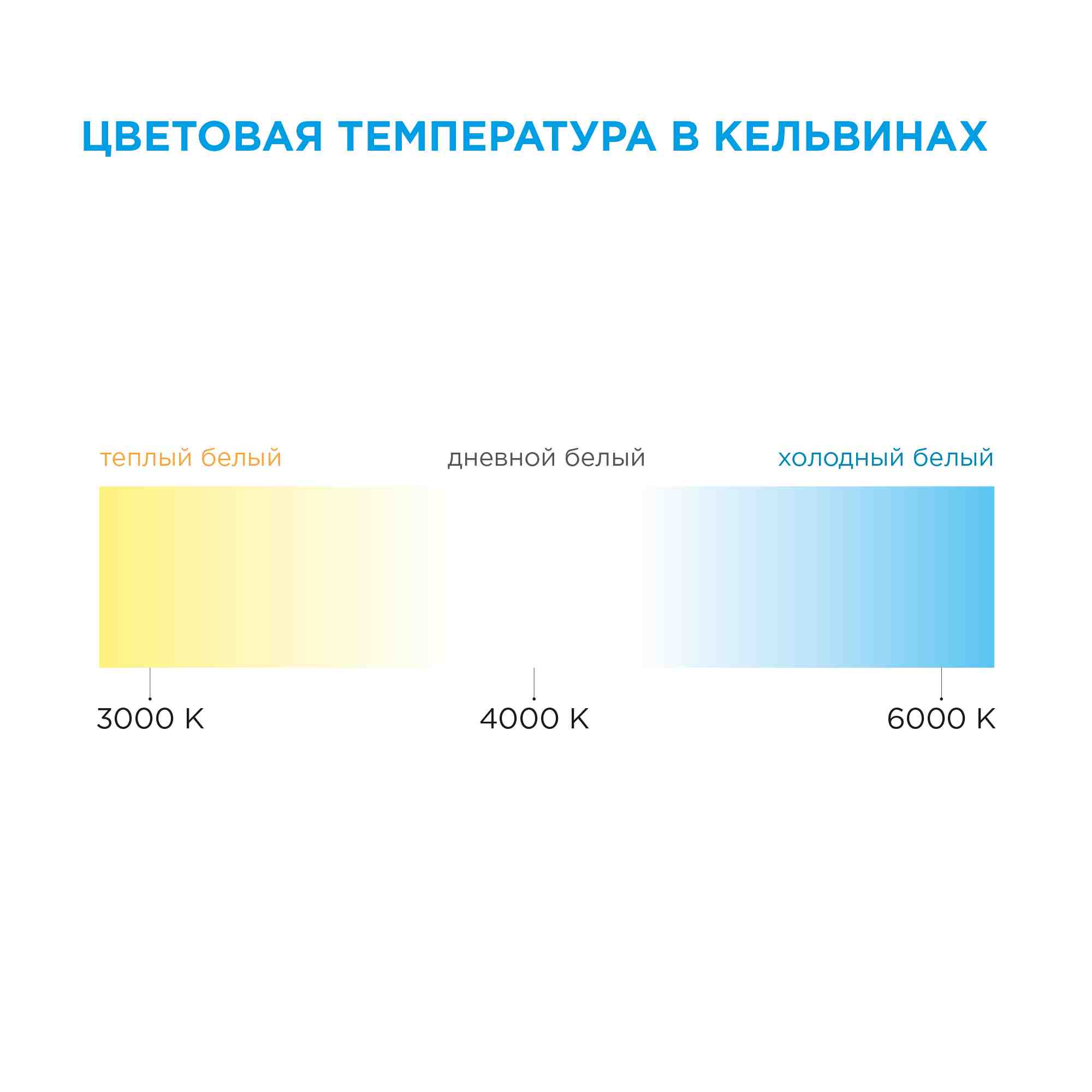Светодиодная лента Apeyron 12В СТ 14,4Вт/м smd5050 60д/м IP20 700Лм/м 5м 6500К 00-15