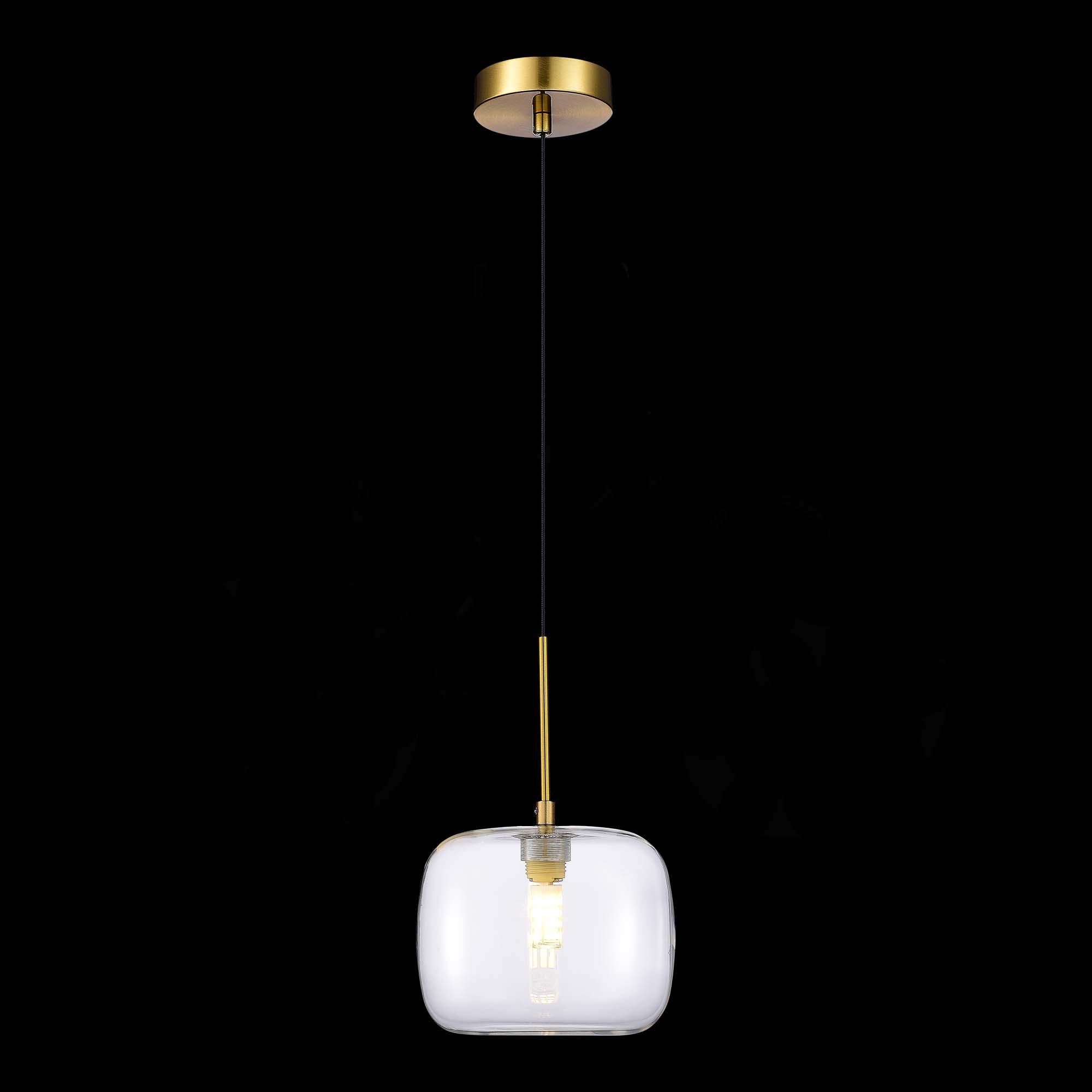 Подвесной светильник ST Luce Finn SL1049.303.01