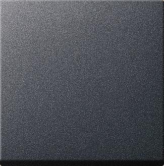 Лицевая панель Gira System 55 переключателя антрацит 231628