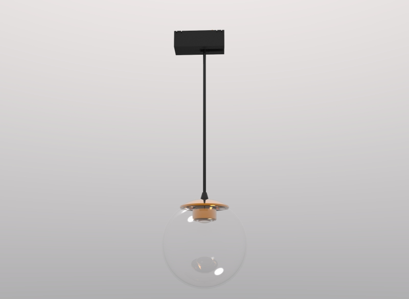 Трековый светильник DesignLed SY-601261-BZ-10-WW 009399