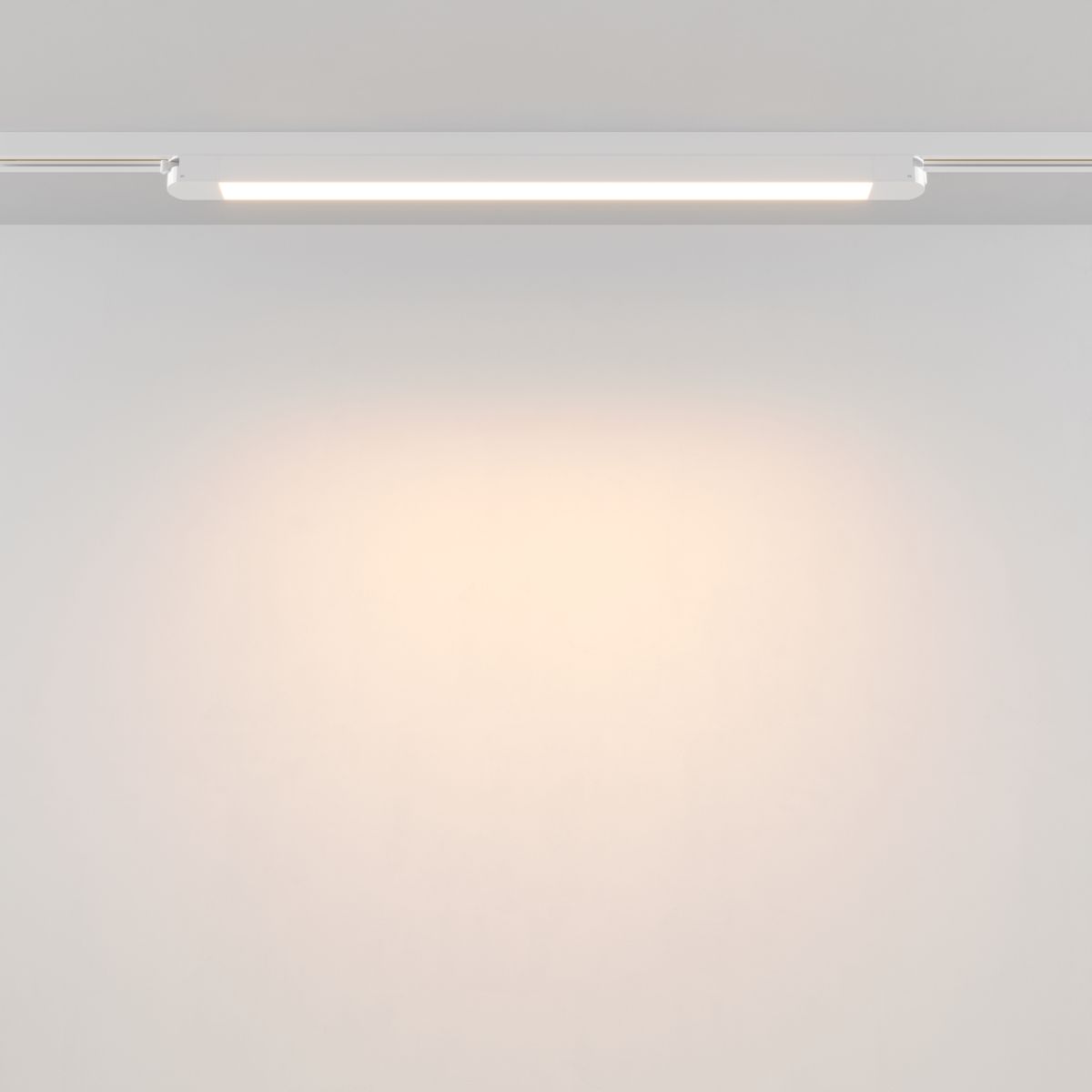 Трековый однофазный светильник Maytoni Technical Basis TR000-1-24W3K-W_1