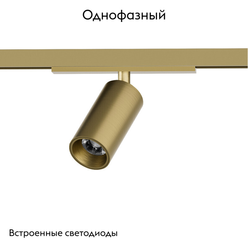 Трековый однофазный светильник Denkirs Shine spot DK5740-SB