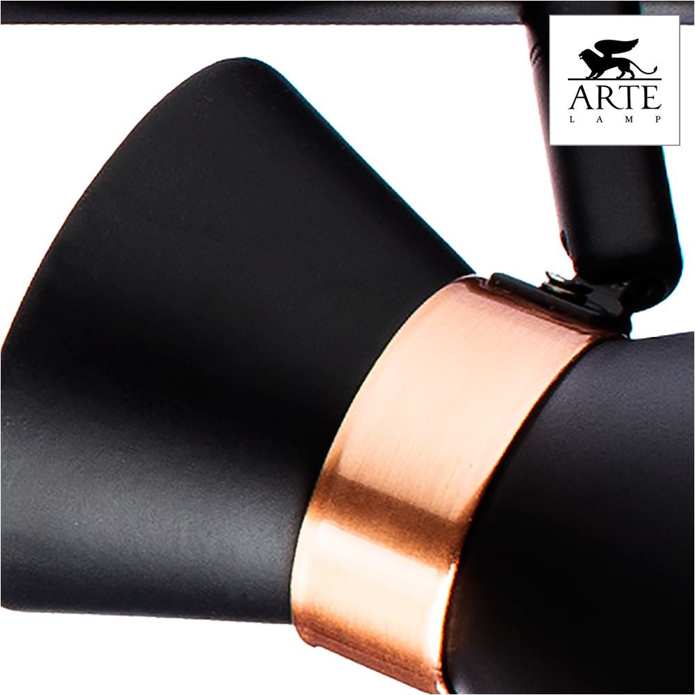 Спот потолочный на штанге Arte Lamp Baltimore A1406PL-3BK