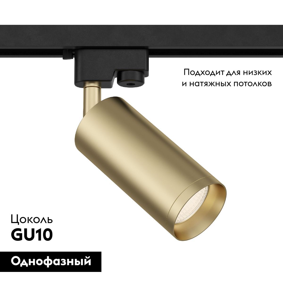 Трековый светильник Maytoni Focus TR004-1-GU10-MG