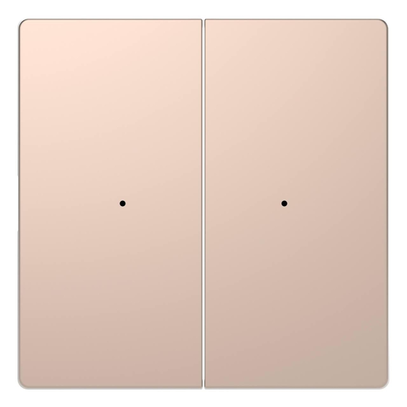 Клавиша двойная Schneider Electric Merten D-Life MTN5220-6051