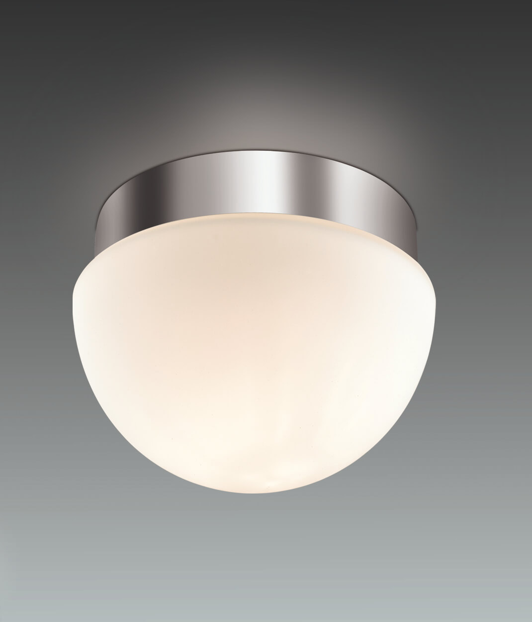 Потолочный светильник Odeon Light Minkar 2443/1A