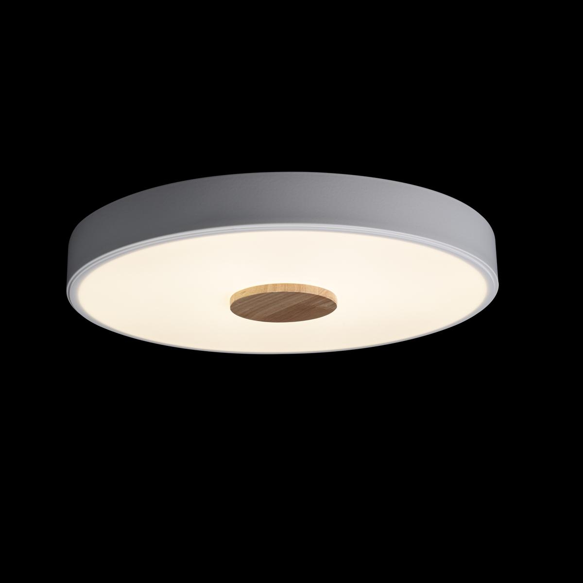 Потолочный светильник Loft IT AXEL 10003/24 White УЦ