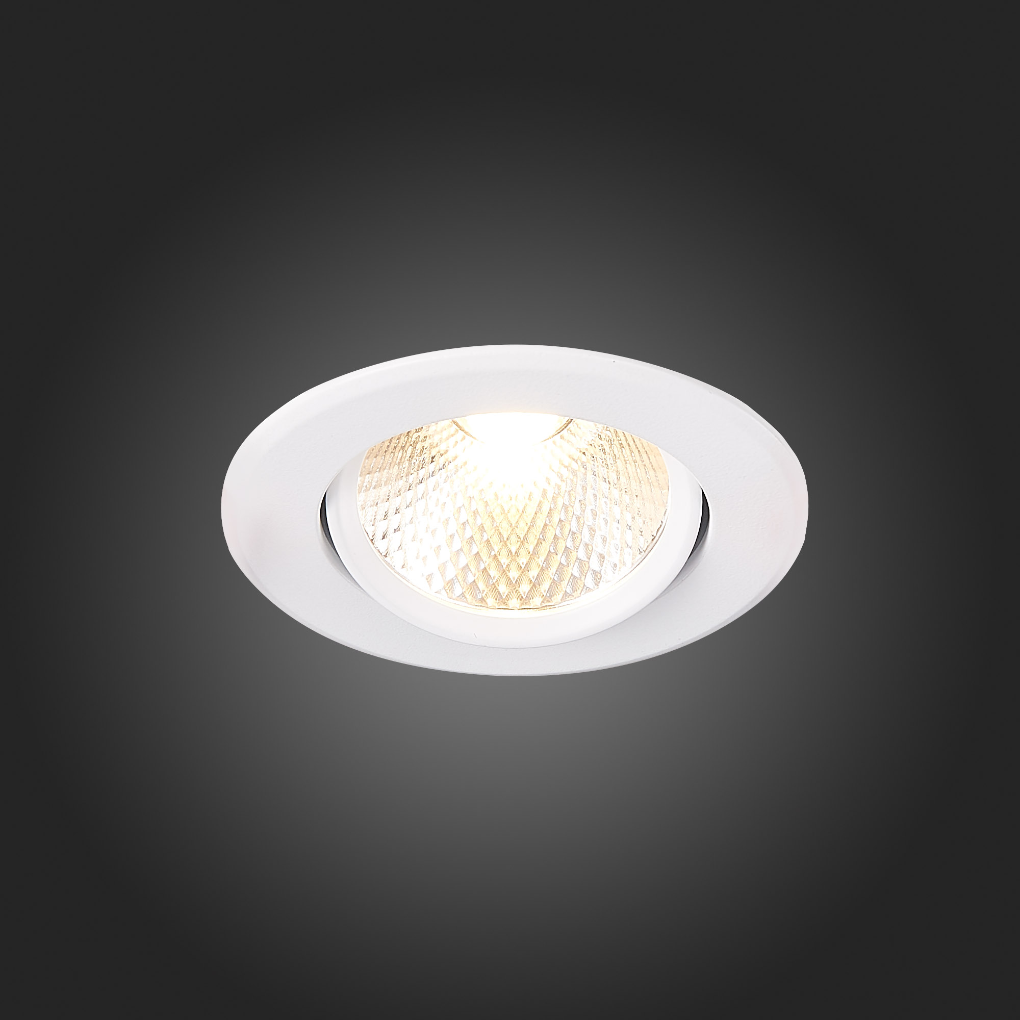 Встраиваемый светильник ST Luce Miro ST211.538.08.36 в Москве