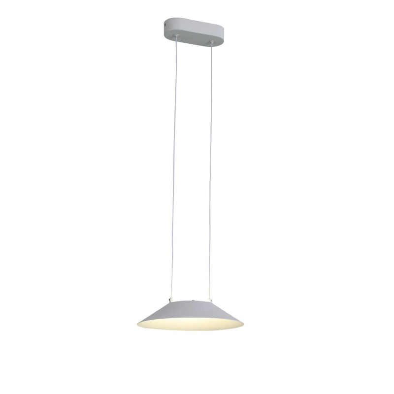 Подвесной светодиодный светильник ST Luce Pitto SL427.503.01