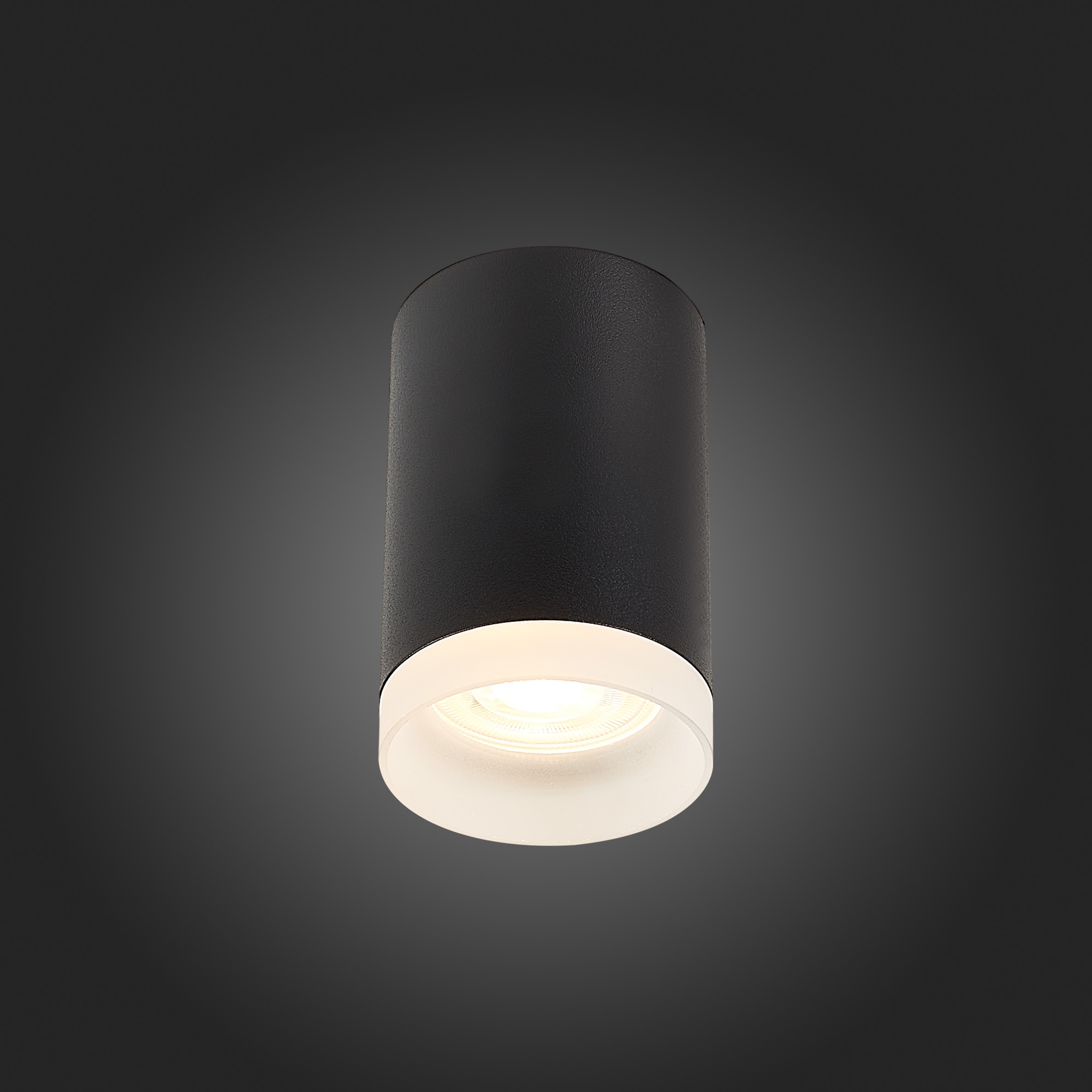 Накладной светильник ST Luce ST100 ST100.402.01