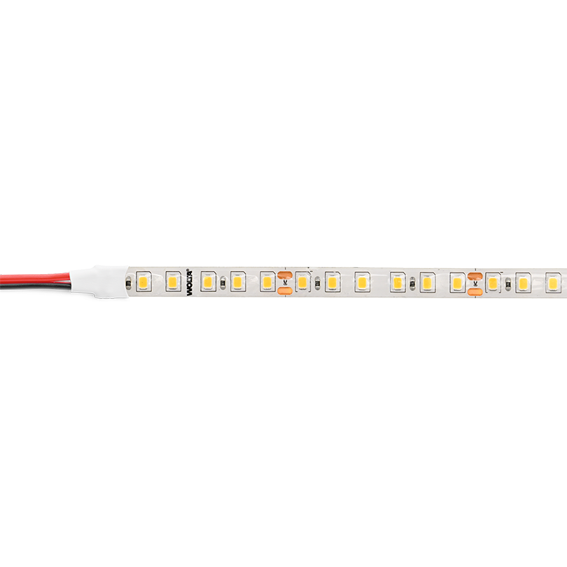 Светодиодная лента Wolta WLS2835-12W/6500/24S120-01