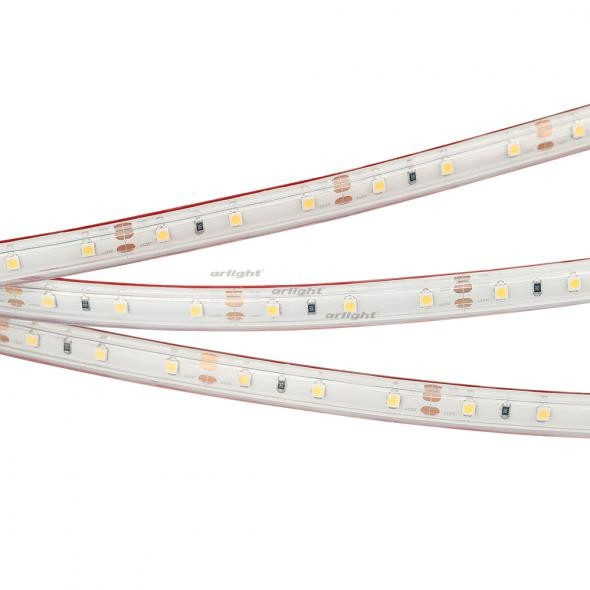 Светодиодная лента Arlight RTW 2-5000PS 12V White6000 (3528, 300 LED, LUX) 021099