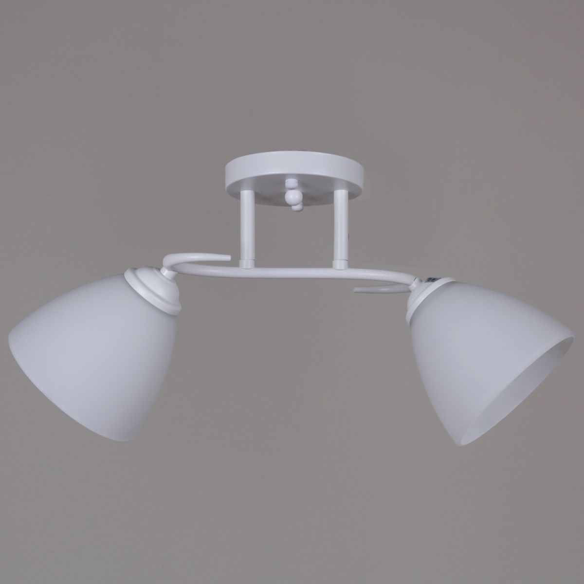 Потолочный светильник Reluce 44560-0.3-02 WH