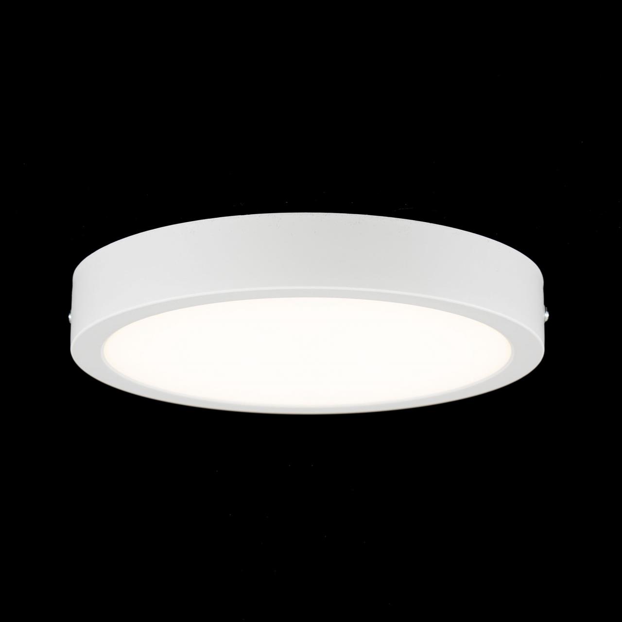 Накладной светильник Citilux Галс CL5522N в Москве