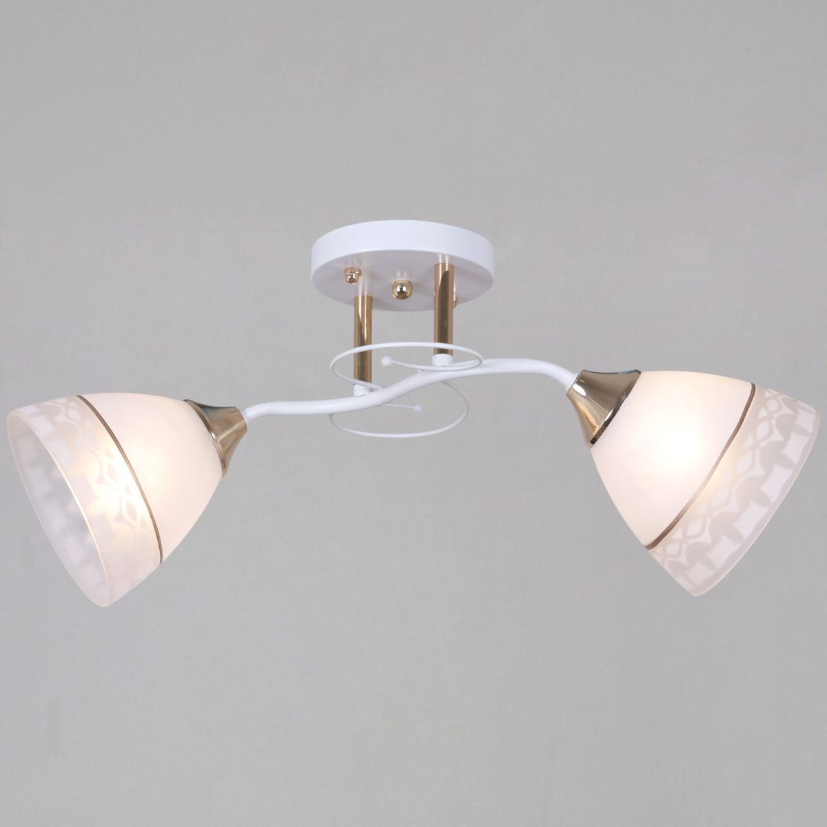 Потолочный светильник Reluce 11460-0.3-02 WH+FG