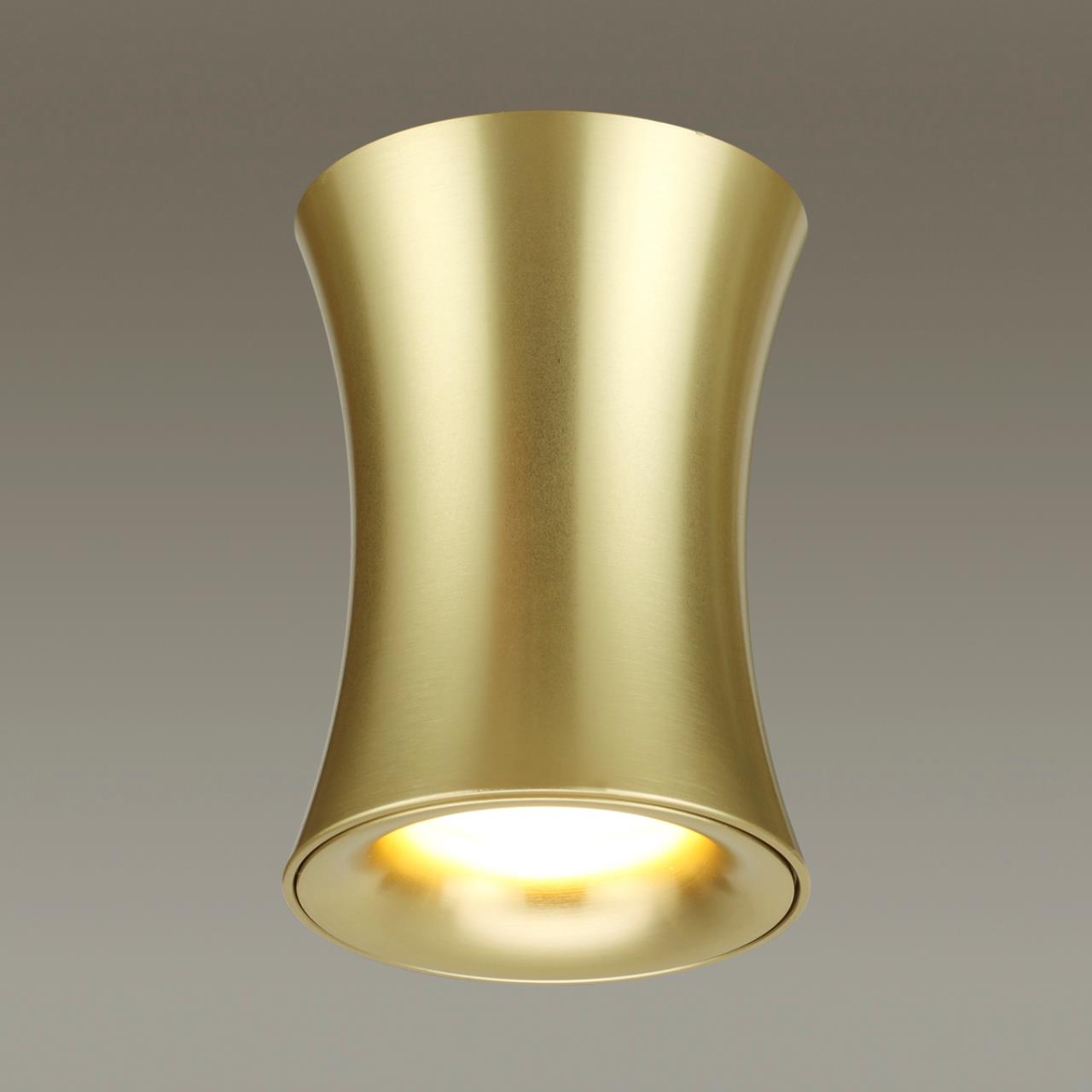 Потолочный накладной светильник Odeon Light Zetta 4226/1C