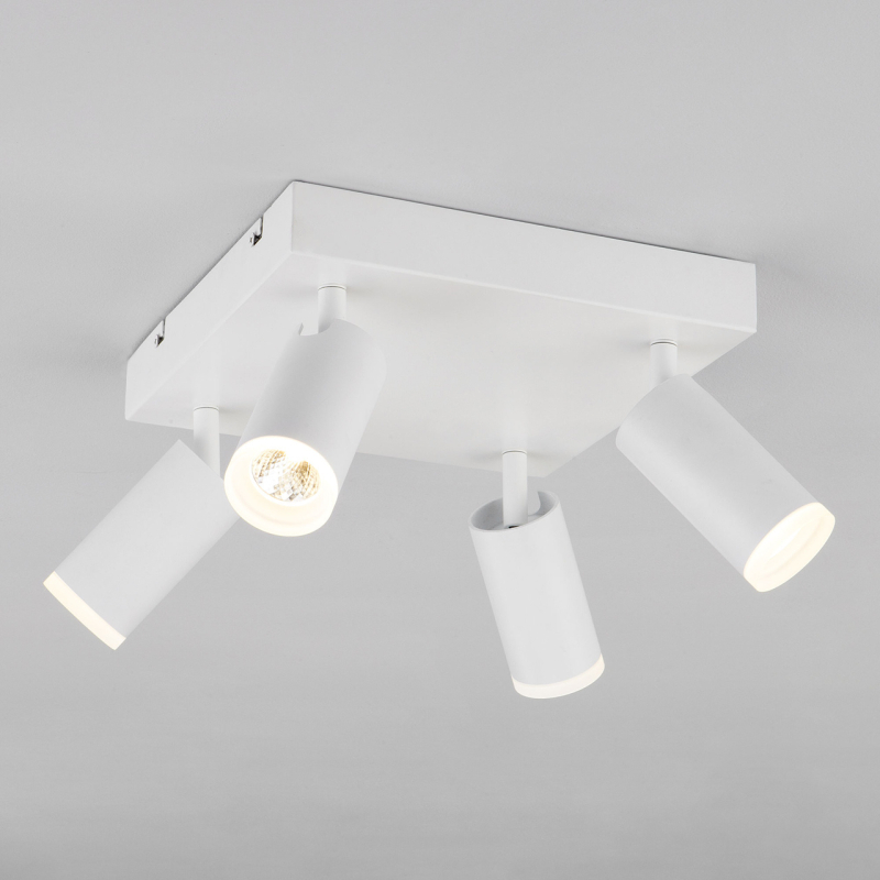 Потолочный светодиодный светильник Eurosvet Holly 20067/4 LED белый
