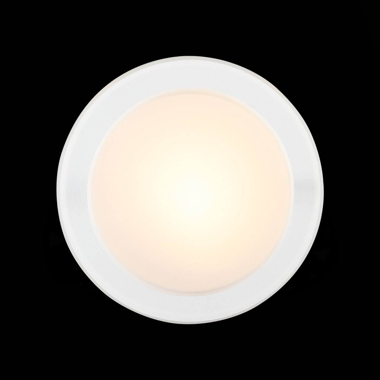 Потолочный светодиодный светильник ST Luce Botone SL466.502.01