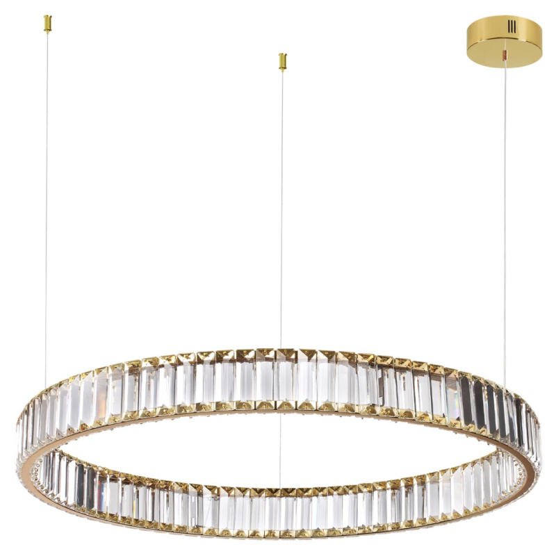 Подвесная люстра кольцо Odeon Light Vekia 5015/45L
