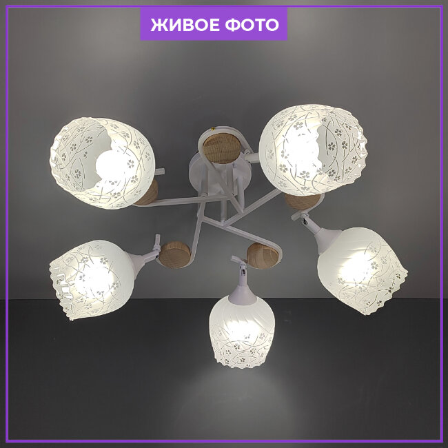 Потолочная люстра для низкого потолка Wedo Light Bakin WD3320/5C-WT