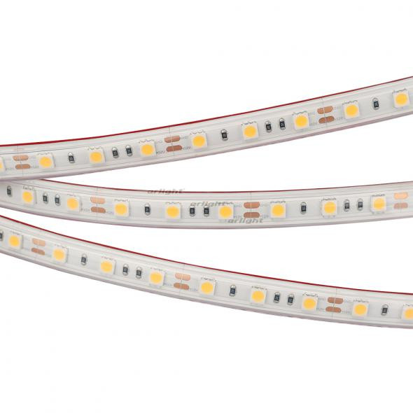 Светодиодная лента Arlight RTW 2-5000PS 12V White6000 2x (5060, 300 LED, LUX) 022323