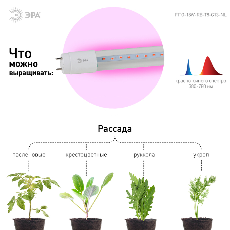 Фитолампа для растений Эра FITO-18W-RB-Т8-G13-NL Б0042990