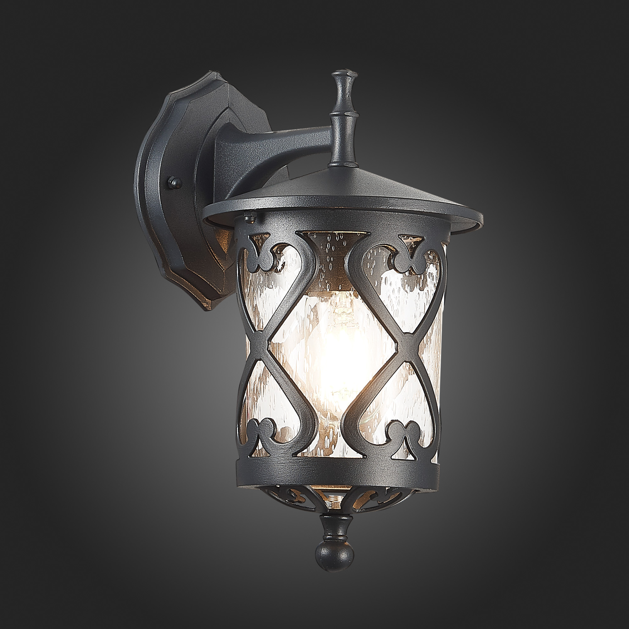 Уличный настенный светильник ST Luce Lorne SL085.411.01