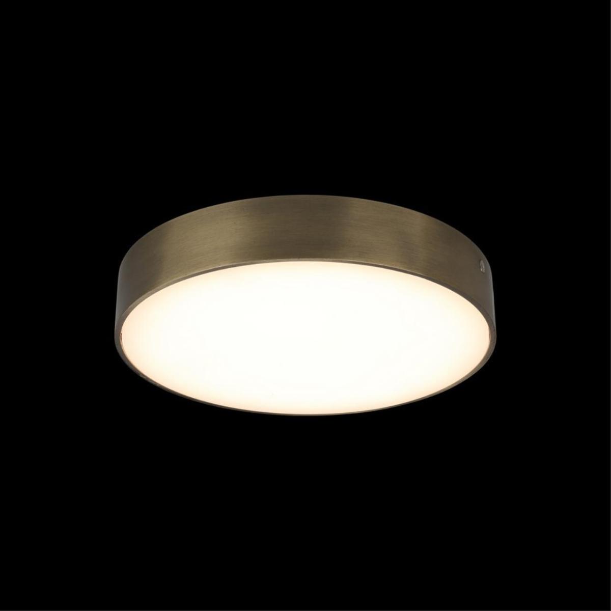 Потолочный светильник Aployt Evon APL.0113.29.24