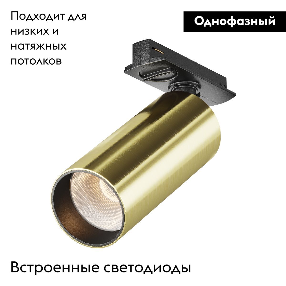Трековый однофазный светильник Maytoni Focus Led TR021-1-12W3K-W-BBS