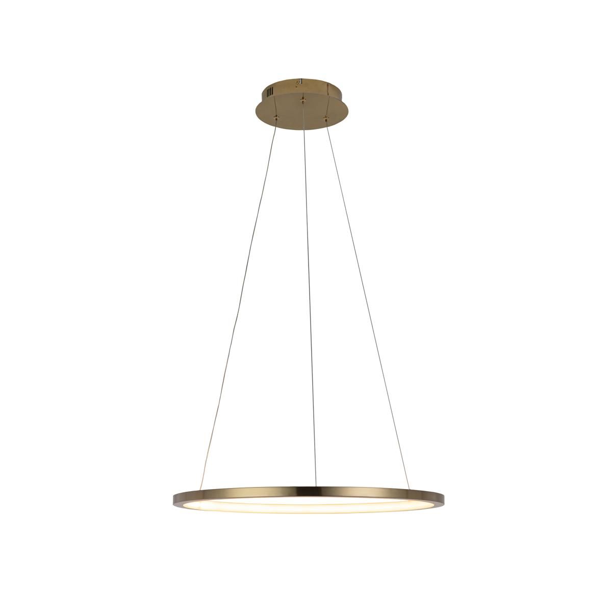 Подвесной светодиодный светильник на тросе Loft IT Ring 10014M